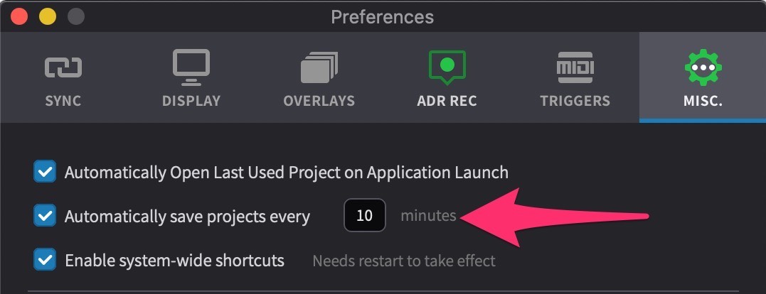 Automatically Save Projects Preference Setting