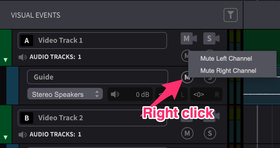 Individual Channel Muting on stereo tracks