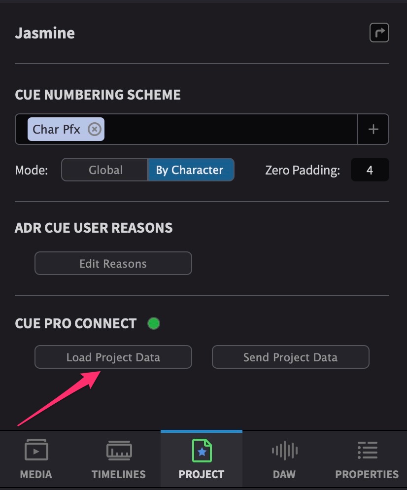 Loading Cue Pro Connect Project Data