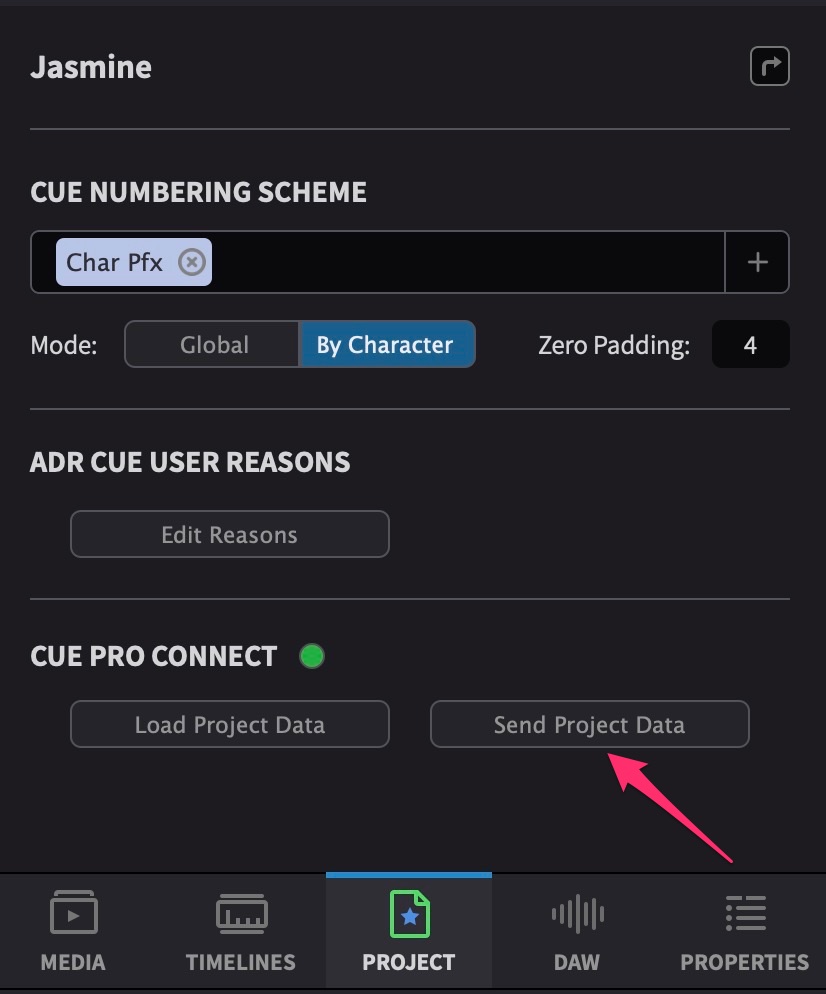 Saving Cue Pro Connect Project Data