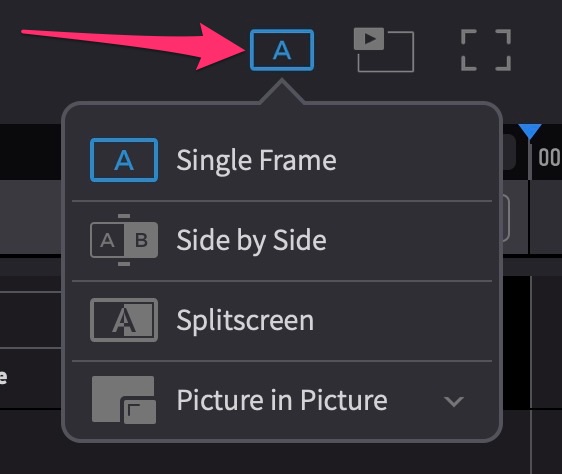 Single/Dual Frame Playback Mode Selector