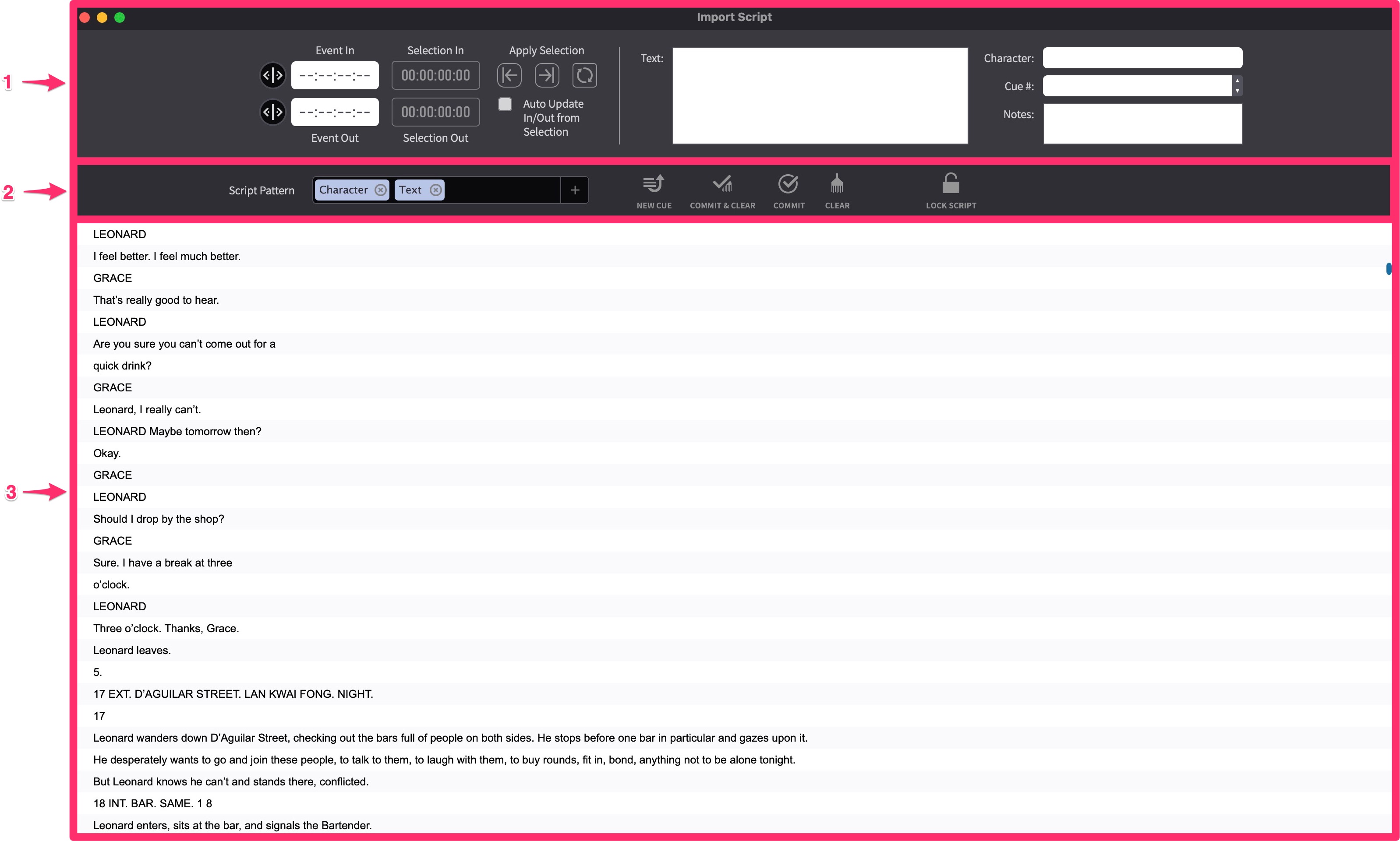 Import Shooting Script Window sections