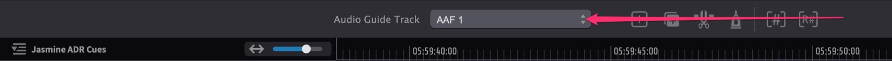 Assigning the Pro Tools Audio Guide Track