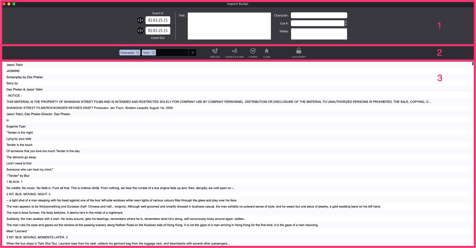 Import Shooting Script Window sections