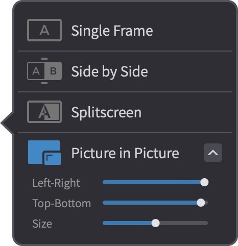 Single/Dual Frame Playback Mode Selector