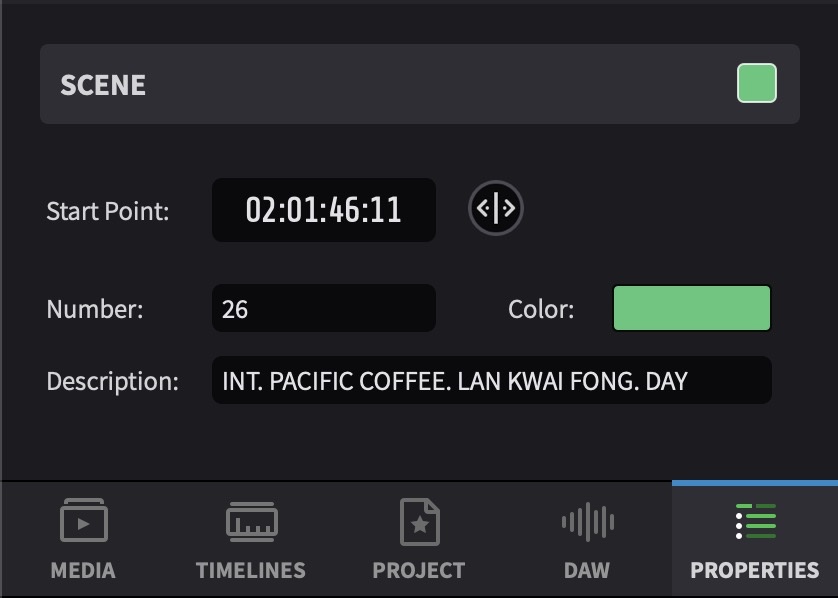 Properties tab showing scene entry fields
