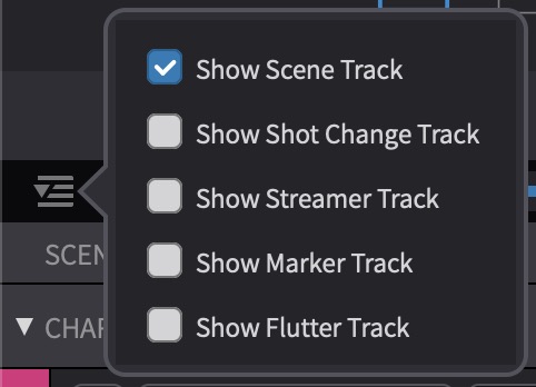 Track visibility pull-down with Show Scene Track enabled