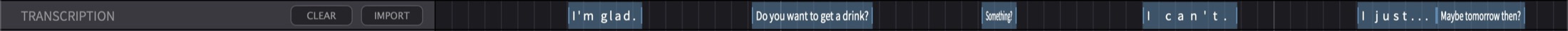 Transcription segments zoomed in showing dialogue text