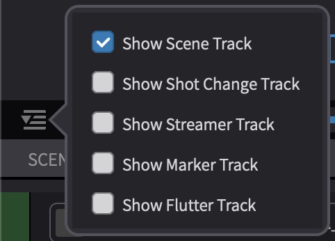 Track visibility pull-down with Show Scene Track enabled