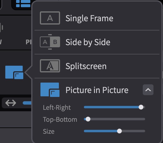 Picture-In-Picture Adjustment Controls