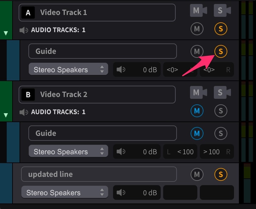Muted Audio Track