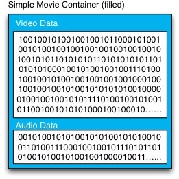 Example of the internal structure of a movie container