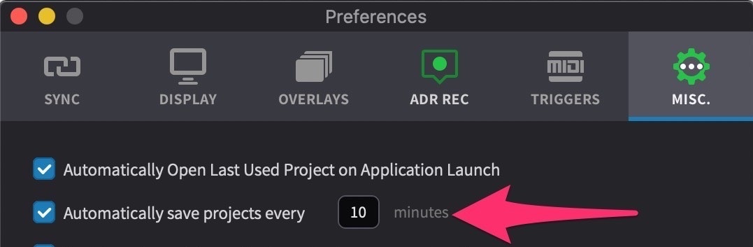 Automatically Save Projects preference