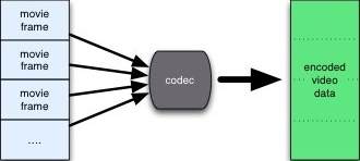 Encoding movie frames with the encoder as part of the codec