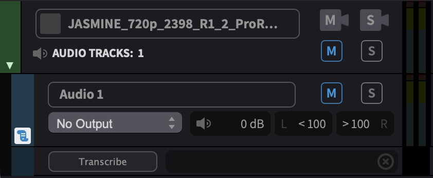 Muted Audio Track