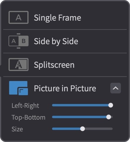 Picture-In-Picture Adjustment Controls
