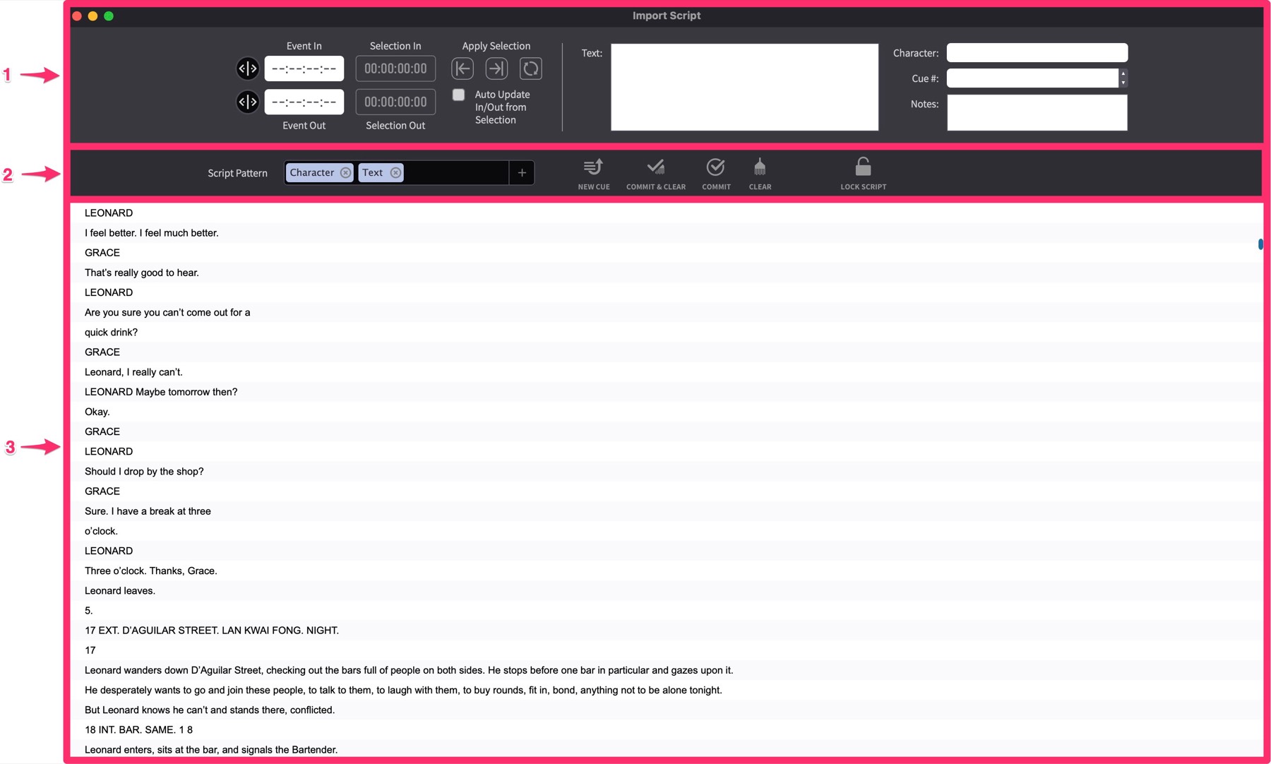 Script Import Window sections