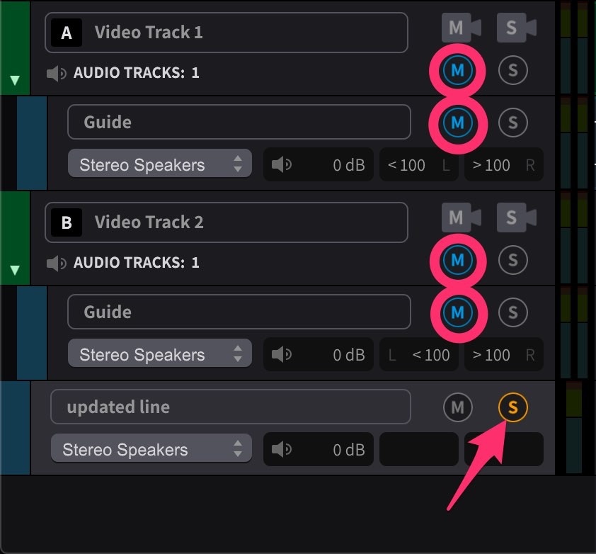Soloed Audio Track