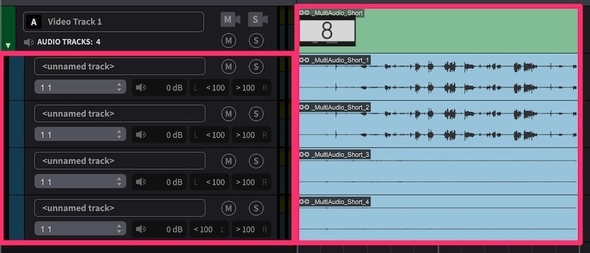 Video File with multiple embedded audio tracks